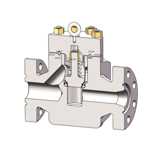 Check Valves (4)